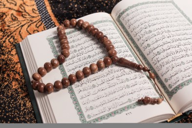 shutterstock_260306585