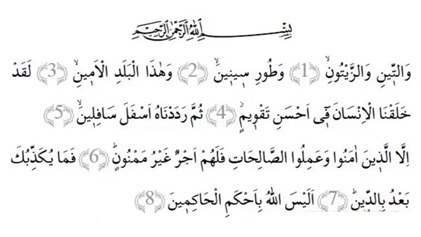 pic-tin-suresi-1449798886-48351285266